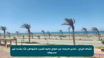 نشاط الرياح.. تحذير الأرصاد من أمواج عالية تضرب الشواطئ غدًا بشدة غير مسبوقة